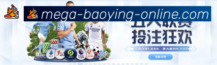 奖项证书